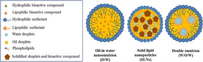 Emulsion-Based Nanostructures for the Delivery of Active Ingredients in Foods